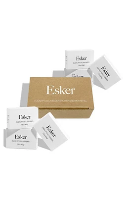 ESKER Shower Steamer Tablet Refills in Lavender Eucalyptus at Nordstrom