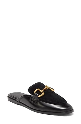 Jeffrey Campbell Velvit Mule in Black Box Black Suede at Nordstrom, Size 5