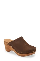 Cordani Zorba Clog at Nordstrom,