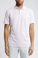 Peter Millar Crown Crafted Albatross Cotton Blend Pique Polo Valencia at Nordstrom,