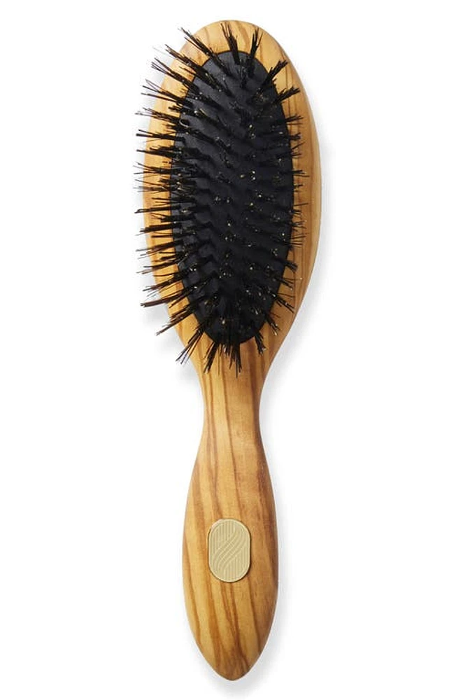 Altesse Beaute Petite Repair & Shine Brush for Fine to Medium Hair at Nordstrom