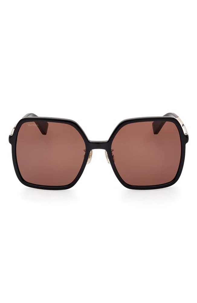 Max Mara 59mm Square Sunglasses in Shiny /Brown at Nordstrom