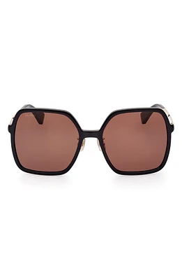 Max Mara 59mm Square Sunglasses in Shiny /Brown at Nordstrom