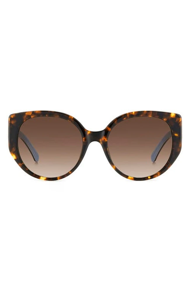 Kate Spade New York seraphina 55mm gradient round sunglasses in Havana/Brown Gradient at Nordstrom