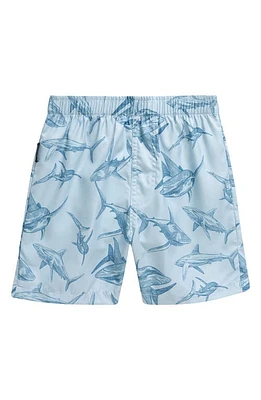 TINY TRIBE Kids' Shark Volley Swim Trunks Chalk Blue at Nordstrom,