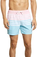 Chubbies 5.5-Inch Swim Trunks The On Horizons at Nordstrom,