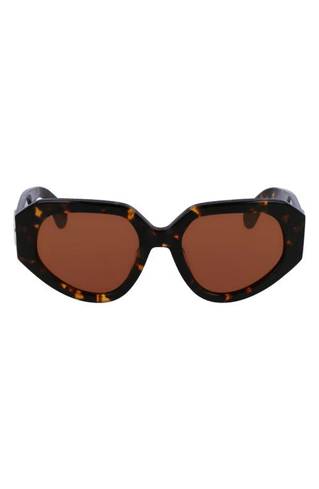 Lanvin 53mm Modified Rectangular Sunglasses in Dark Havana at Nordstrom