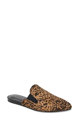 Splendid Liza Genuine Calf Hair Mule Cheetah at Nordstrom,