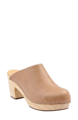 Nisolo Leather Platform Clog in Almond at Nordstrom, Size 10