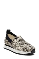 TOMS Alp Resident 2.0 Sneaker Fog Flocked Mini Cheetah at Nordstrom,