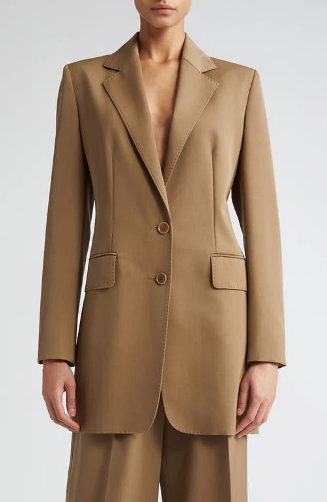 Max Mara Caprile Wool & Mohair Long Blazer Mud at Nordstrom,