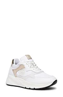 NeroGiardini Logo Sporty Sneaker White at Nordstrom,