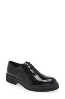 FERRAGAMO Firorino Round Toe Derby Nero at Nordstrom,