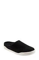 SoftWalk Auburn Mule Black Suede at Nordstrom,