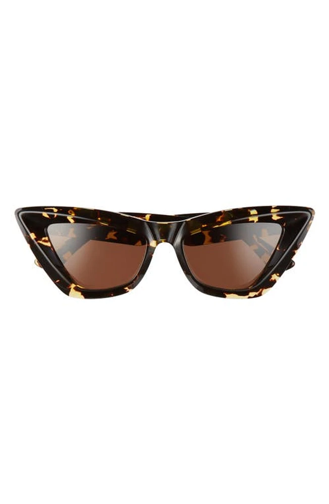 Bottega Veneta 53mm Cat Eye Sunglasses in Havana/Brown at Nordstrom