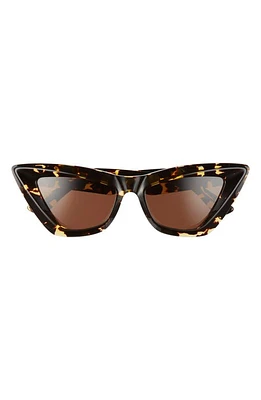 Bottega Veneta 53mm Cat Eye Sunglasses in Havana/Brown at Nordstrom