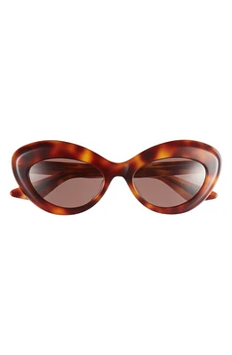 Oliver Peoples x KHAITE 1968C 53mm Oval Sunglasses in Dark Brown at Nordstrom