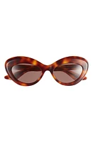 Oliver Peoples x KHAITE 1968C 53mm Oval Sunglasses in Dark Brown at Nordstrom