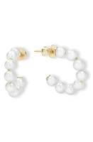 Melinda Maria Life's a Ball Imitation Pearl Hoop Earrings in White Pearl/Gold at Nordstrom