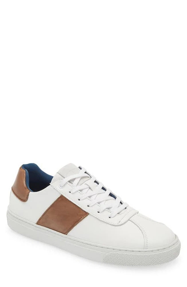 G Brown Jolt Low Top Sneaker White/Taupe at Nordstrom,