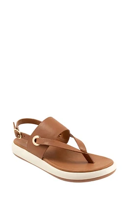 SoftWalk Joliet Slingback Sandal Luggage at Nordstrom,