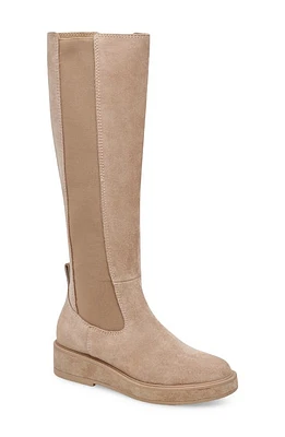 Dolce Vita Eamon Knee High Boot Almond Suede H2O at Nordstrom,