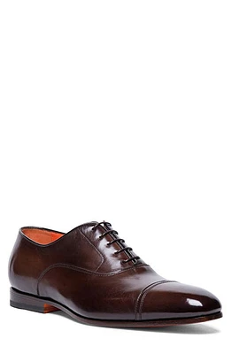 Santoni Dole Cap Toe Oxford Dark Brown at Nordstrom,