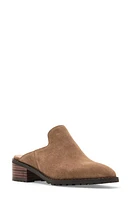 Blondo Stelle Block Heel Mule Suede at Nordstrom,