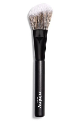 Sisley Paris Blush Brush at Nordstrom