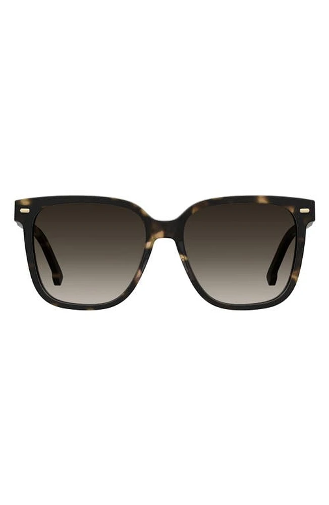 Carrera Eyewear 55mm Rectangular Sunglasses in Havana/Brown Gradient at Nordstrom