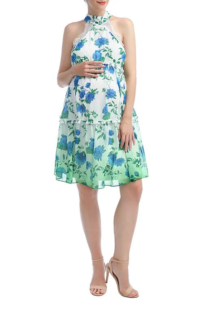 Kimi and Kai Norah Floral A-Line Halter Maternity Dress at Nordstrom,