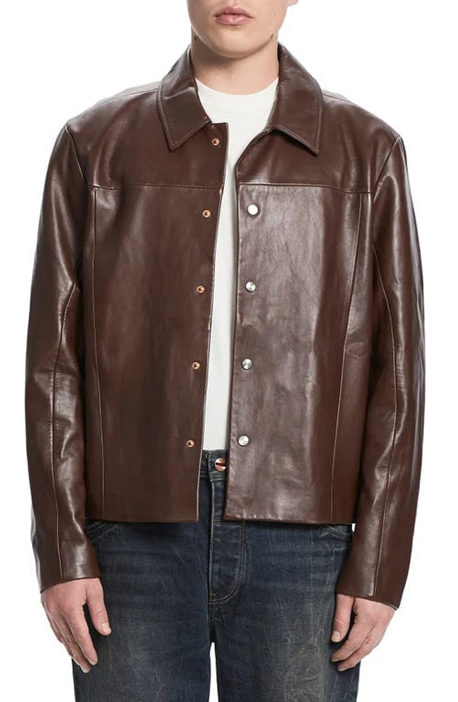 VAYDER Alessio Leather Jacket French Roast at Nordstrom,