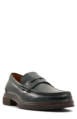 ALDO Tucker Penny Loafer Dark Green at Nordstrom,