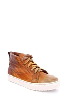 Bed Stu Bad Rossela High Top Sneaker at Nordstrom,