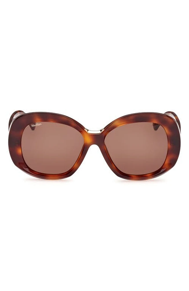 Max Mara Edna 55mm Round Sunglasses in Dark Havana /Brown at Nordstrom