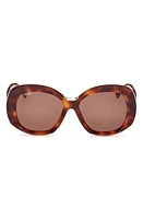 Max Mara Edna 55mm Round Sunglasses in Dark Havana /Brown at Nordstrom