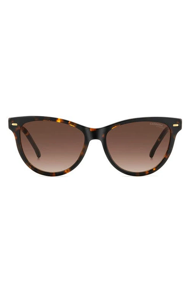 Carrera Eyewear 54mm Cat Eye Sunglasses in Havana/Brown Gradient at Nordstrom