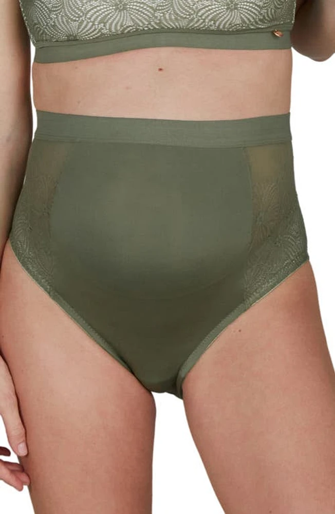 Cache Coeur Dahlia High Waist Lace Trim Maternity Briefs at Nordstrom,