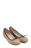 Bloch Nashira Ballerina Flat at Nordstrom,