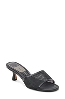 Dolce Vita Meeza Kitten Heel Slide Sandal Mesh at Nordstrom,