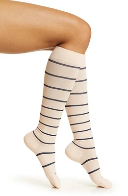 COMRAD Stripe Knee High Compression Socks in Ivory Rose/Navy at Nordstrom, Size Small