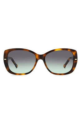 Carolina Herrera 56mm Round Sunglasses in Havana Green at Nordstrom