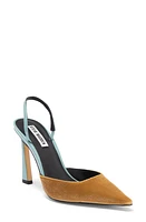 Steve Madden Drew Slingback Pointed Toe Pump at Nordstrom,