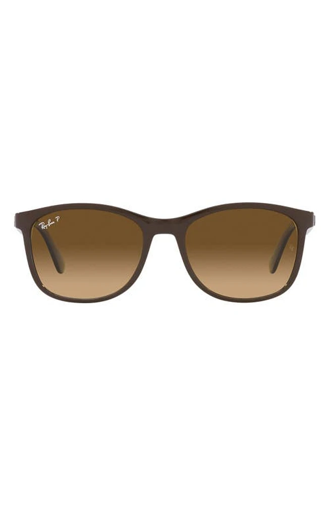 Ray-Ban 56mm Polarized Square Sunglasses in Brown at Nordstrom