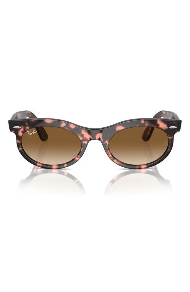 Ray-Ban Wayfarer 50mm Oval Sunglasses in Havana Pink at Nordstrom