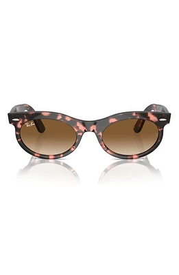 Ray-Ban Wayfarer 50mm Oval Sunglasses in Havana Pink at Nordstrom