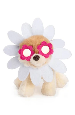 Gund Itty Bitty Boo Daisy Stuffed Animal in Multi at Nordstrom