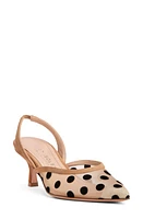 BEAUTIISOLES Flores Slingback Kitten Heel Pump at Nordstrom,