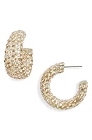 Nordstrom Crystal Encrusted Hoops in Clear- Champagne at Nordstrom