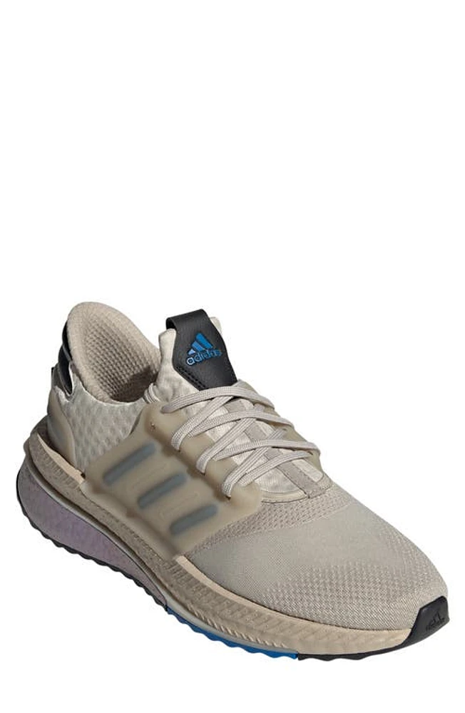 adidas X PLRBOOST Running Shoe Wonder Beige/Black/Royal at Nordstrom,